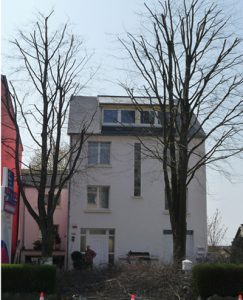 taille arbre douce après